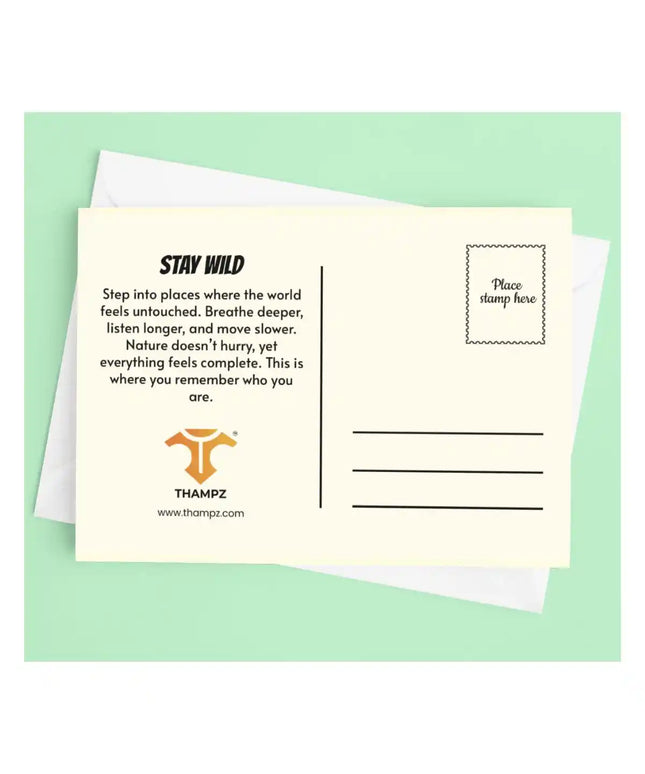 stay wild travel postcard photo postcard